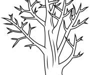 Coloriage Arbre nu en couleurs