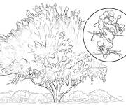 Coloriage Arbre Palo verde jaune