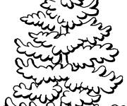 Coloriage et dessins gratuit Arbre pin tout simple à imprimer
