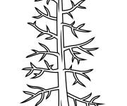 Coloriage Arbre r&eacute;aliste en ligne