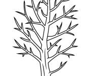 Coloriage Arbre r&eacute;aliste nu