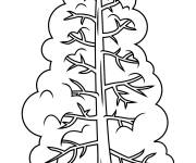 Coloriage Arbre r&eacute;aliste pour la saison d'hiver