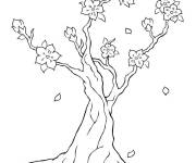 Coloriage et dessins gratuit Arbre Sakura à imprimer