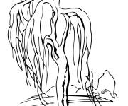 Coloriage Arbre Saule pleureur en plein air