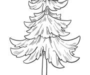 Coloriage Arbre simple aux feuilles en hiver
