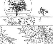 Coloriage Arbre Sorbier