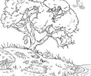 Coloriage Arbre sur la rivi&egrave;re r&eacute;aliste