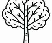 Coloriage Arbre vectoriel