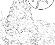 Coloriage Aspen r&eacute;aliste