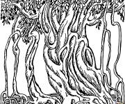 Coloriage Banian en contour