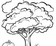 Coloriage Contour d'un grand ch&ecirc;ne avec un lapin