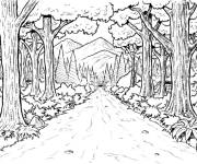 Coloriage Foret d'arbre