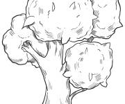 Coloriage Gros arbre d&eacute;taill&eacute; pour enfants