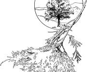 Coloriage Illustration de Gen&eacute;vrier de Virginie