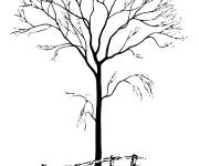 Coloriage Image d'un arbre qui perds ses feuilles