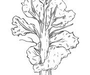 Coloriage Joli arbre r&eacute;aliste