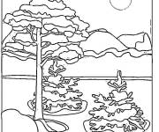 Coloriage Les arbres de canada