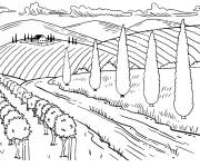 Coloriage Les arbres de la compagne