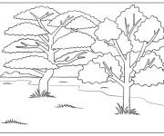 Coloriage et dessins gratuit Les arbres de la savanes à imprimer