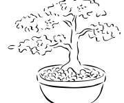 Coloriage Mini Arbre bonsa&iuml;
