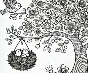 Coloriage nid d&rsquo;oiseaux dans l'arbre
