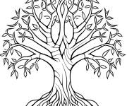 Coloriage Page gratuite d'un cypr&egrave;s et de ses racines