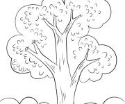 Coloriage Paysage d'un arbre sous les rayons de soleil