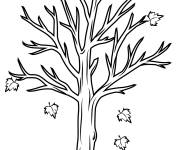 Coloriage Petit arbre nu