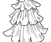 Coloriage et dessins gratuit Pin avec ses feuilles cp à imprimer