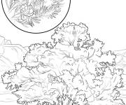 Coloriage Pin Pinon d&eacute;taill&eacute;
