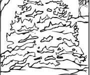 Coloriage et dessins gratuit Pin sous la neige à imprimer