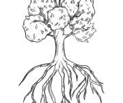 Coloriage Racines de l'arbre imprimable