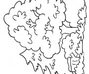 Coloriage Arbre dans la for&ecirc;t