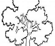 Coloriage Arbre en &eacute;t&eacute;