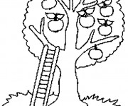 Coloriage Arbre et &eacute;chelle