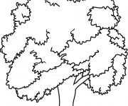 Coloriage Arbre et l'environnement