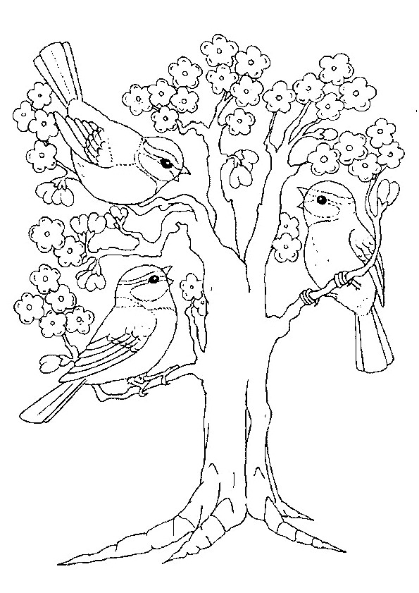 Coloriage et dessins gratuits Arbre et Oiseaux à imprimer