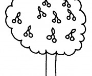 Coloriage Arbre et ses Fruits
