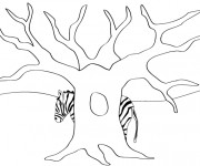 Coloriage Arbre et Z&egrave;bre
