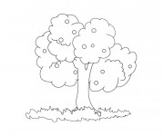 Coloriage Arbre Fruitier &agrave; d&eacute;corer