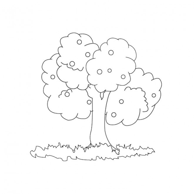 arbre fruitier a decorer 9487 660x400