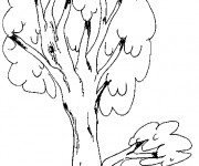 Coloriage Arbre longue