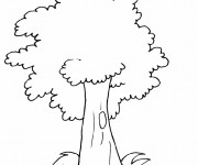 Coloriage Arbre pour enfant