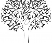 Coloriage Arbre sans Feuilles