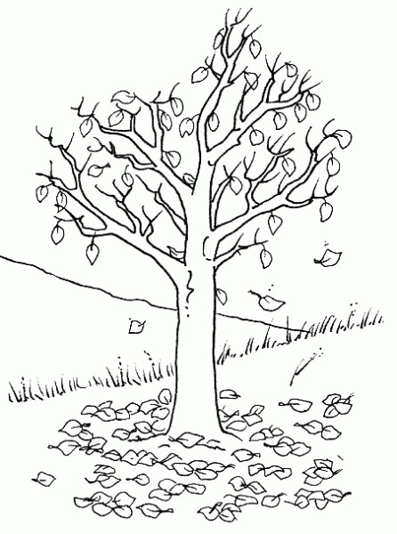 Coloriage Arbre Sans Feuilles à Découper