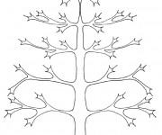 Coloriage et dessins gratuit Arbre sans Feuilles Automne à imprimer