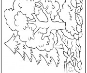 Coloriage Arbres differentes