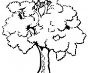 Coloriage et dessins gratuit Arbres en noir et blanc à imprimer