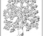 Coloriage Arbres et beaux fleurs stylisé