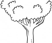 Coloriage et dessins gratuit Arbres facile à colorier à imprimer